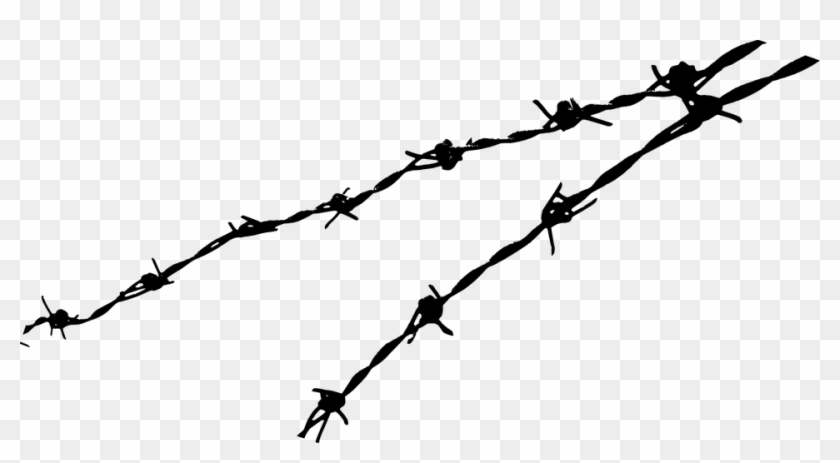 960 X 484 3 - Barb Wire Png Clipart #2240276