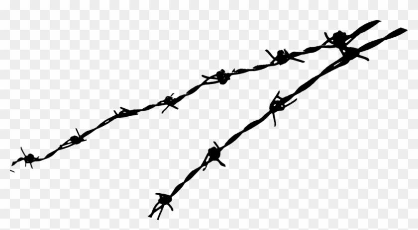 960 X 484 3 - Barb Wire Png Clipart