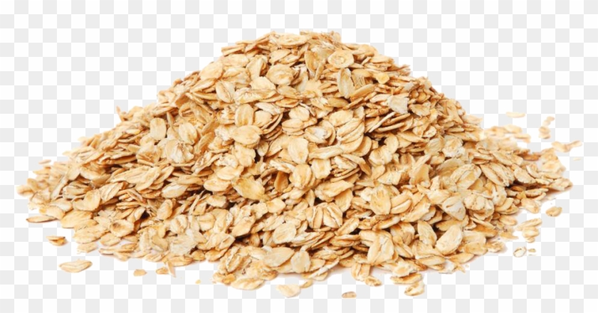 Oatmeal Png Pic - Ocean Sponge Clipart Transparent Png #2241189