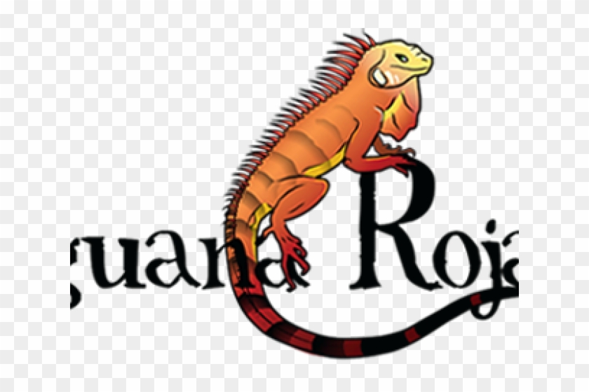 Iguana Clipart Orange - Png Download