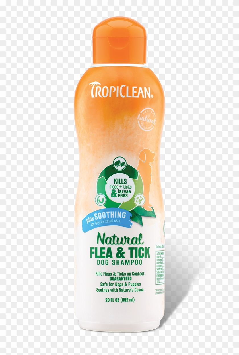 Tropiclean Natural Flea & Tick Shampoo, Plus Soothing - Tropiclean Flea And Tick Shampoo Clipart