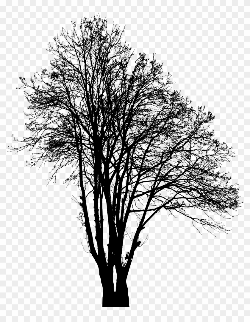 Big Image - Vector Graphics Clipart #2244824