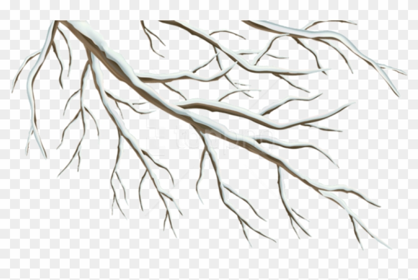 Free Png Winter Branch Png - Winter Branch Birds Illustration Clipart #2244902