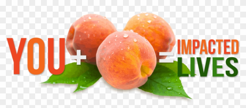 Our Annual Summer Peach Sale - Nectarine Clipart