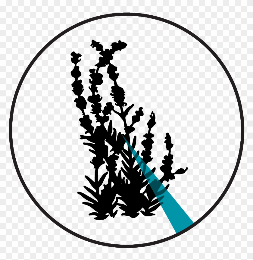 Pie Chart - Silhouette Clipart #2246409