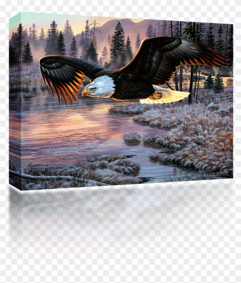 American Eagle - Sunsout Eagle Dawn 1000pc Jigsaw Puzzle Clipart #2246987