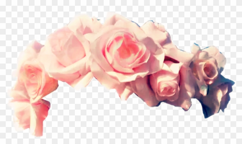 Pink Rose Clipart Rose Crown - Flower Crown Without Background - Png Download