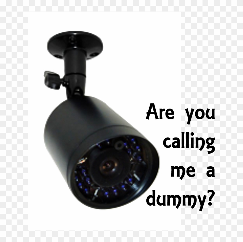 Should You Buy Dummy Outdoor Security Cameras - Astellas/bladder And Bowel Foundation - Astellas Clipart