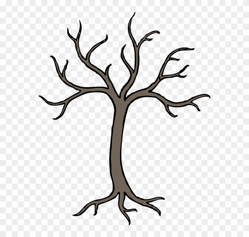 Tree Outline - Bare Tree Clip Art - Png Download #2247367