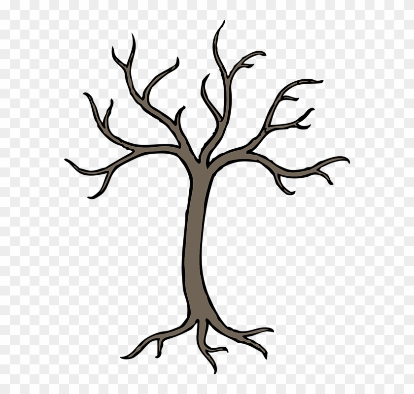 Tree Outline - Bare Tree Clip Art - Png Download