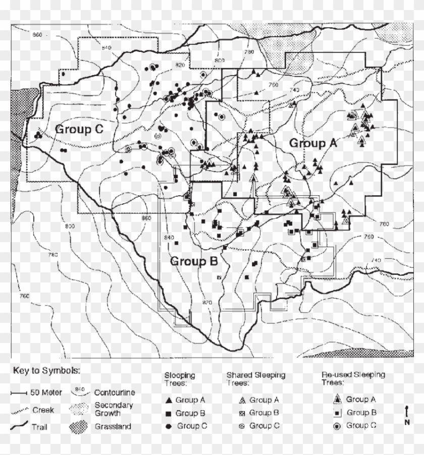 Outline Of Home Ranges And Location Of Sleeping Trees - Map Clipart