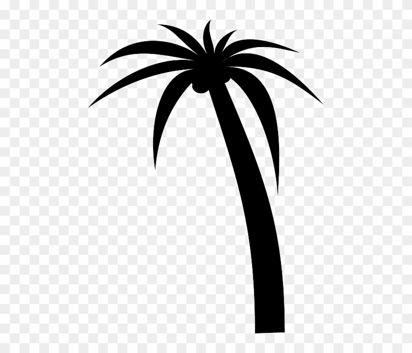 Silhouette Black, Icon, Simple, Outline, Drawing, Silhouette - Palm Tree Clip Art Vector - Png Download