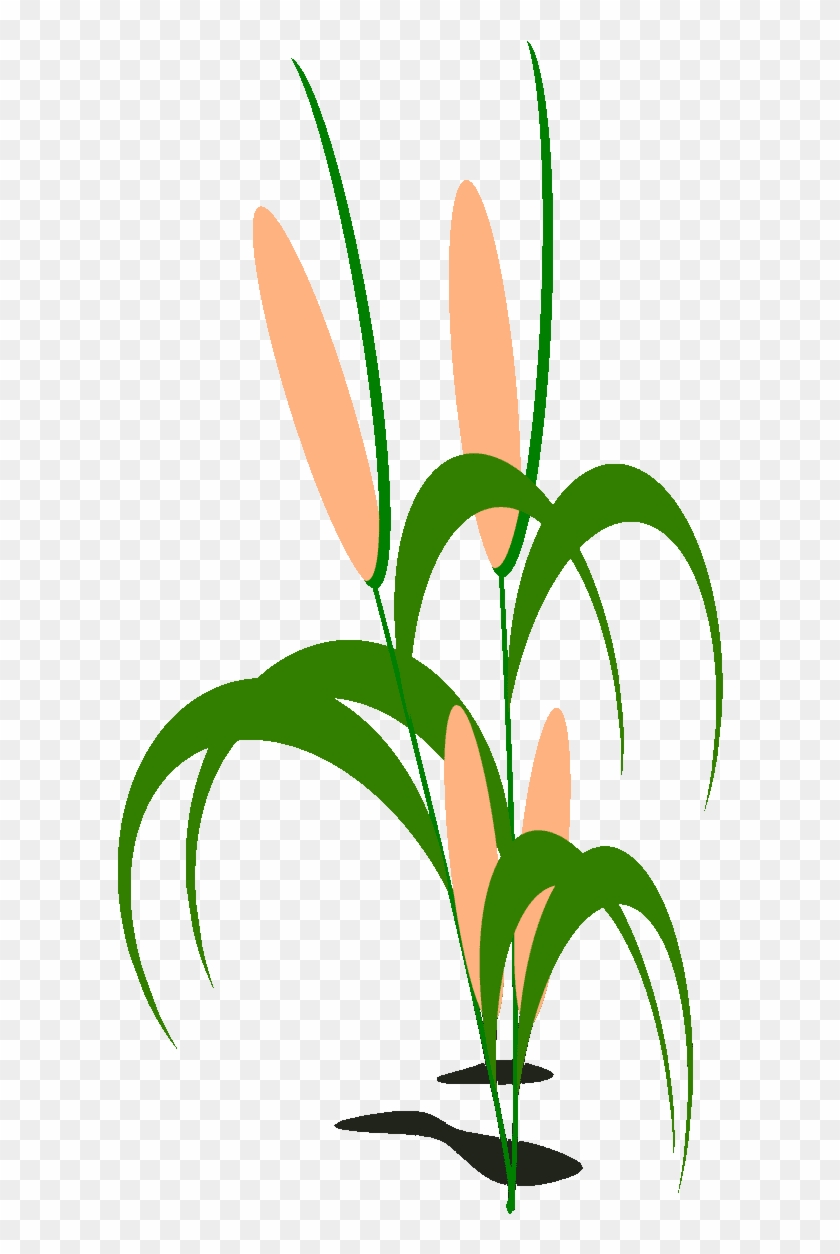 Corn Field Clipart At Getdrawings - Png Download #2247934