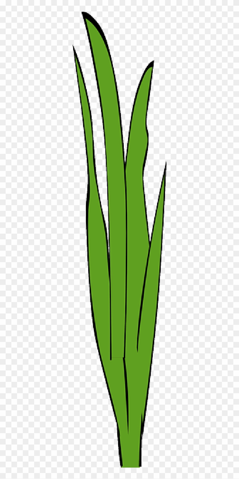 Marijuana Plant Transparent Background Clipart #2248500