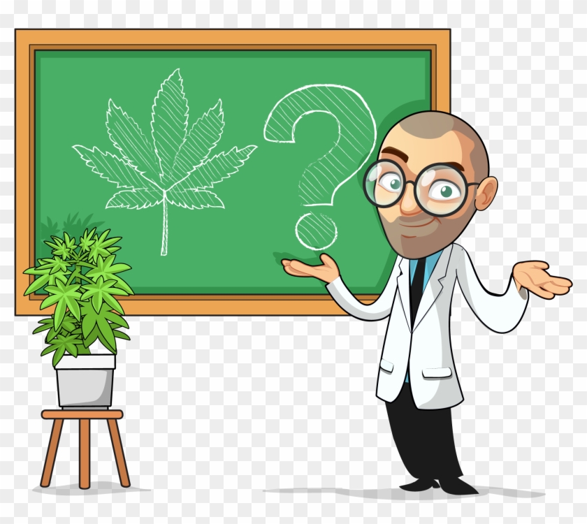 Bergman's Lab By I Love Growing Marijuana - Cartoon Clipart #2248590