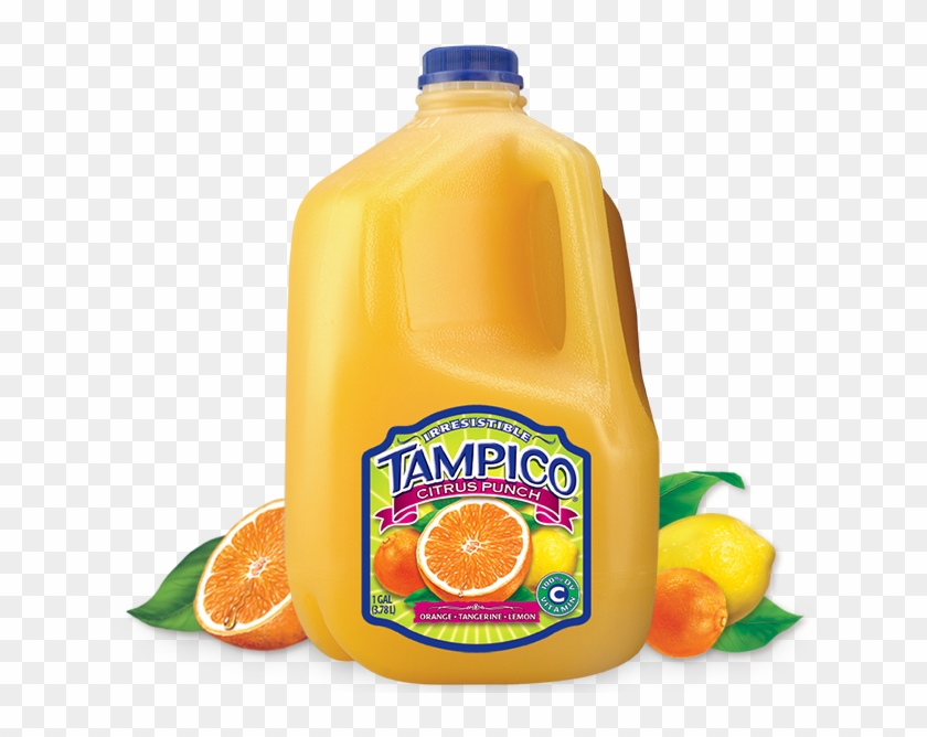 5045904 - Tampico Juice Clipart #2250354