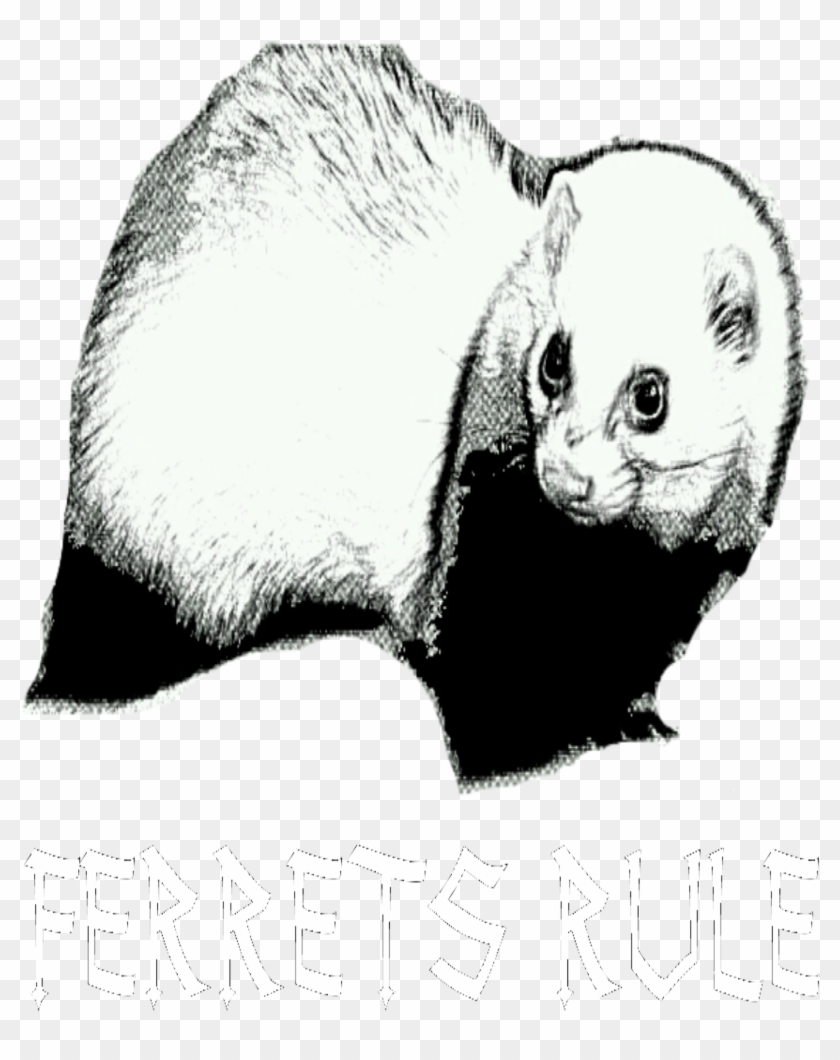 Ferrets Rule - Thumbnail - Ferret Clipart