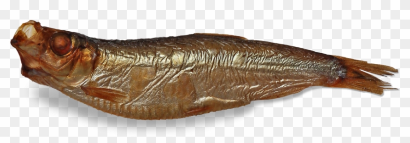 Smoked Fish - Lunge Clipart #2251223