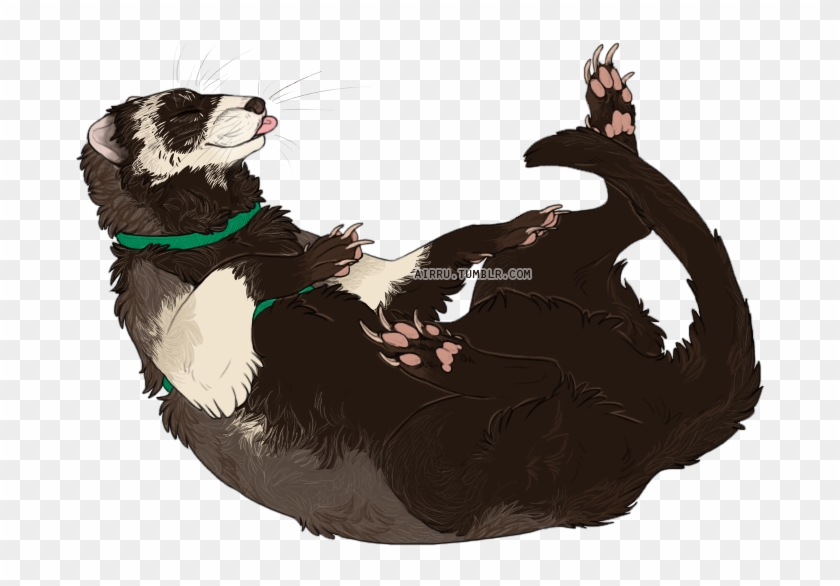 Ive Never Drawn A Ferret Before But I've Drawn Otters - Illustration Clipart