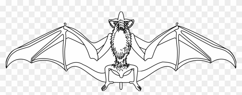 Artfavor Bat Black White Art Halloween 1969px 230 - Illustration Clipart