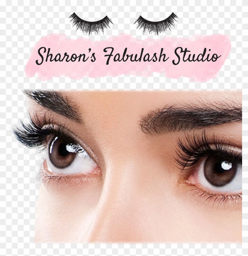 Beautiful Eyelashes , Png Download - Eyelash Clipart