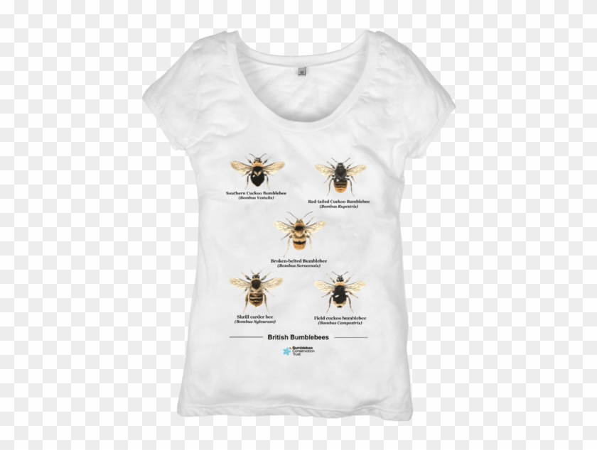 British Bumblebees Top - T-shirt Clipart