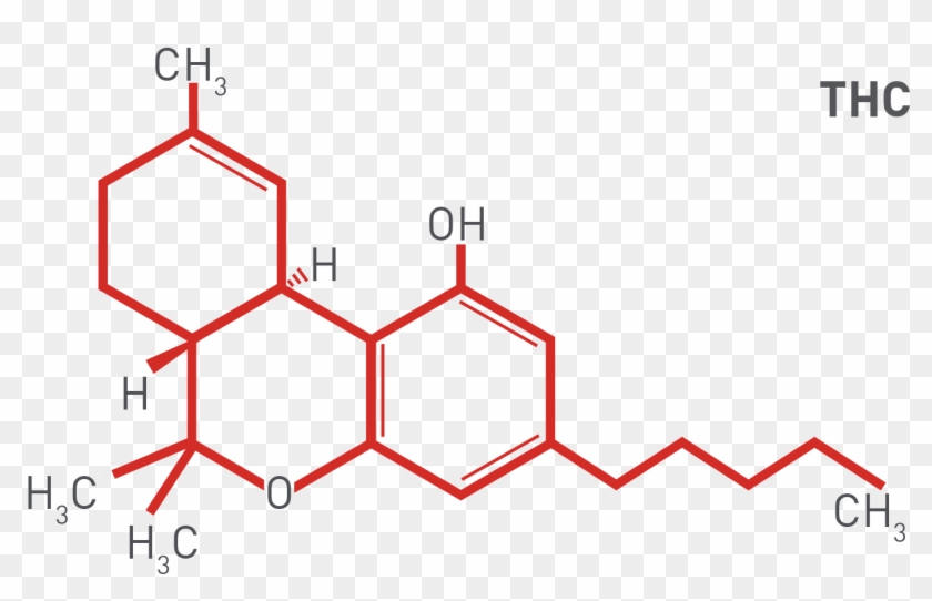 How Does Cannabis Drug Testing Work - Lazy Bee Gardens Clipart #2253225