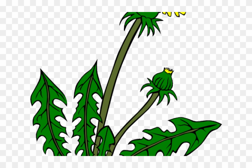 Weed Clipart Grass Area - Weeds Png Transparent Png #2253687