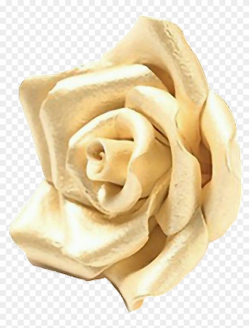 #gold #rose #flower #oro #rosa #fiore Clipart