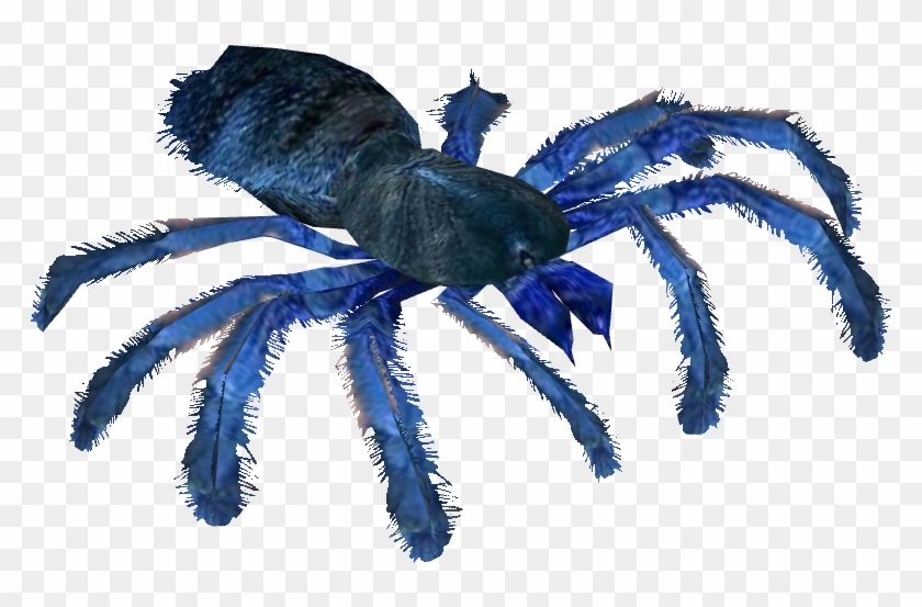 Tarantula Png - Tarantula Clipart #2255276