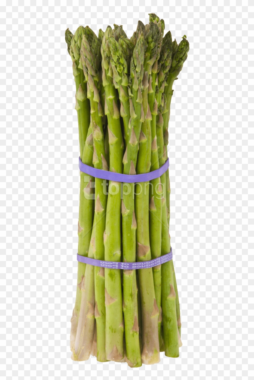 Free Png Download Asparagus Png Images Background Png - Asparagus Jpg Clipart