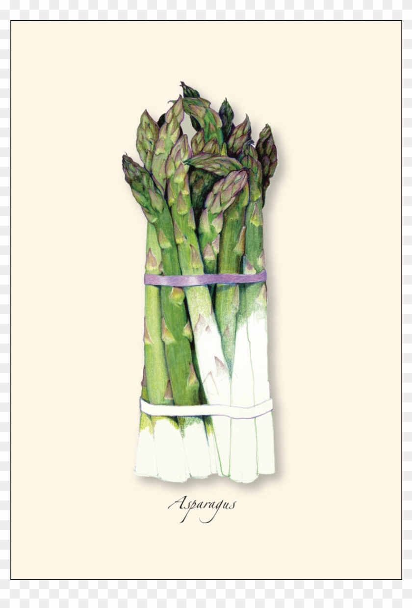 Shopping Cart -  -  - Drawing Clipart