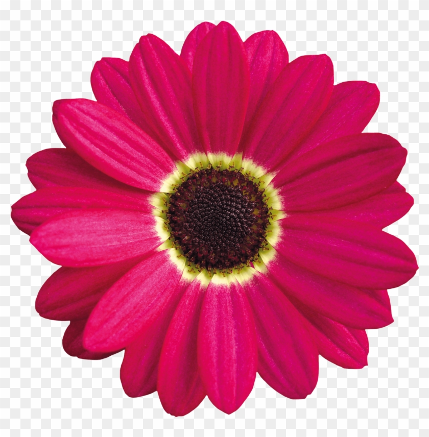 Click Clipart #2256225