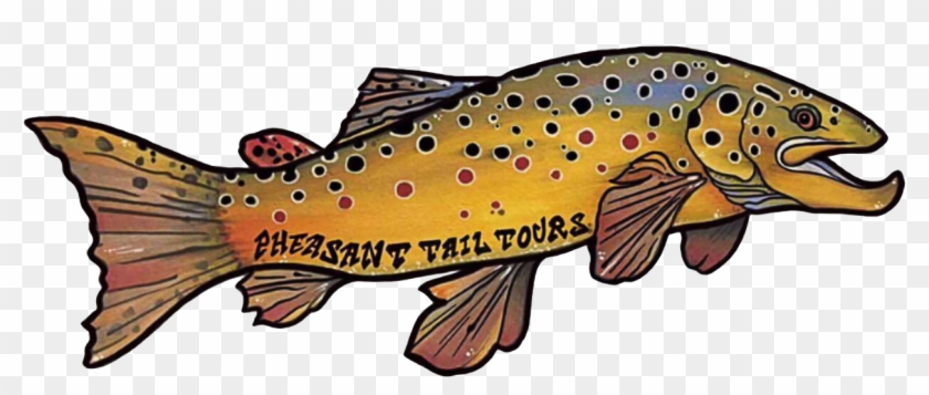 1242 X 470 6 - Brown Trout Clipart