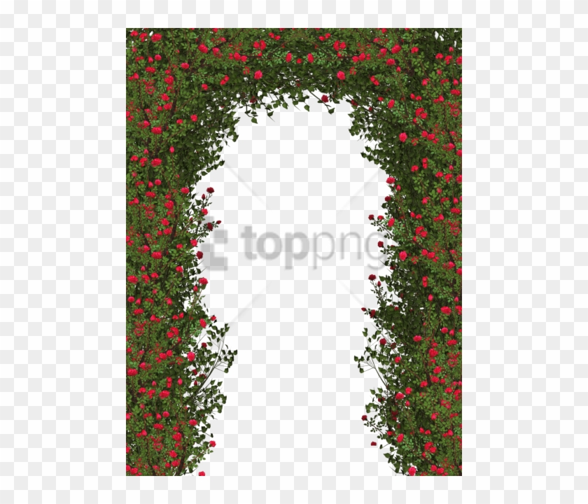 Free Png Download Rose Flower Tree Png Images Background - Shrub Rose Bushes Png Clipart