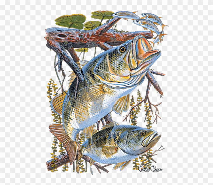 Two Bass - Carey Chen Clipart #2256825