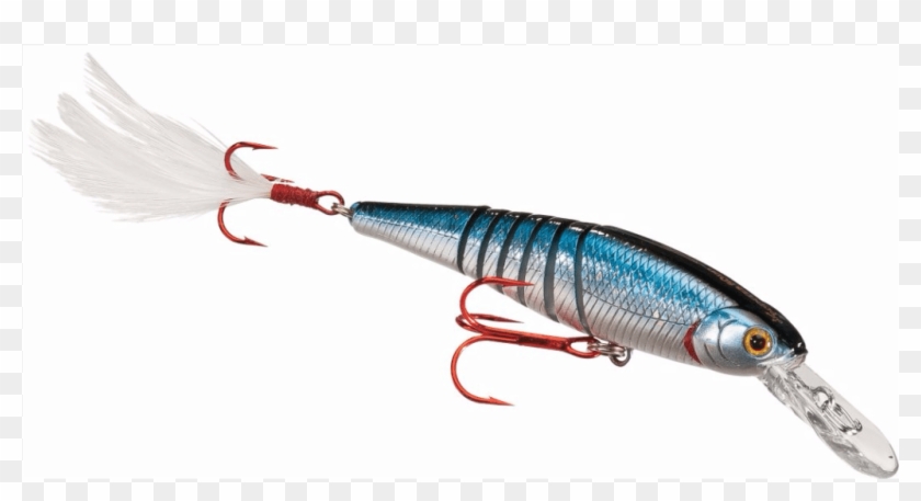 Luckycraft - Bait Fish Clipart