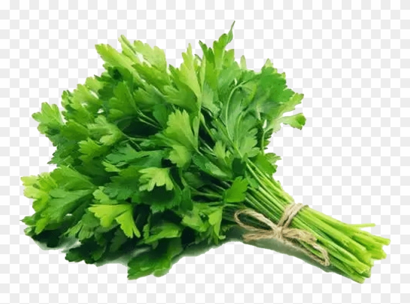 Demet Maydanoz , Png Download - Fresh Parsley Flat Clipart #2257762