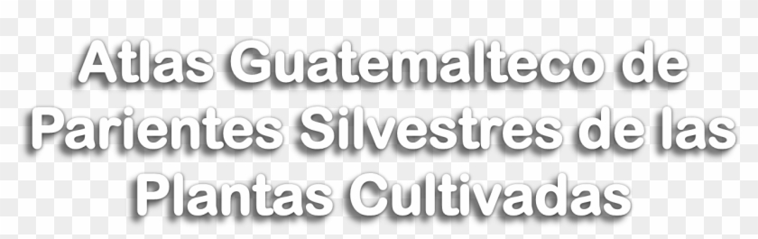 09 Pm 1063 Titulo Old 2/13/2007 - Black-and-white Clipart #2258982