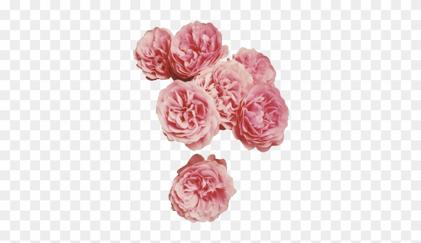 64 Images About Flower Png On We Heart It - Flowers Hipster Clipart