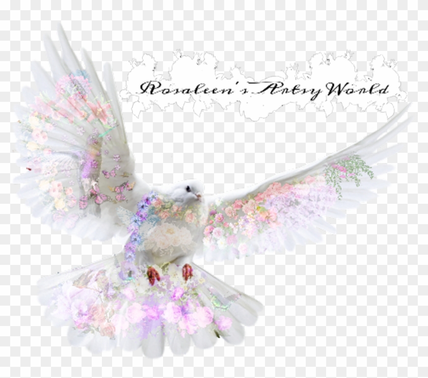 Meet The Flower Dove - Hình Nền Chim Bồ Câu Clipart