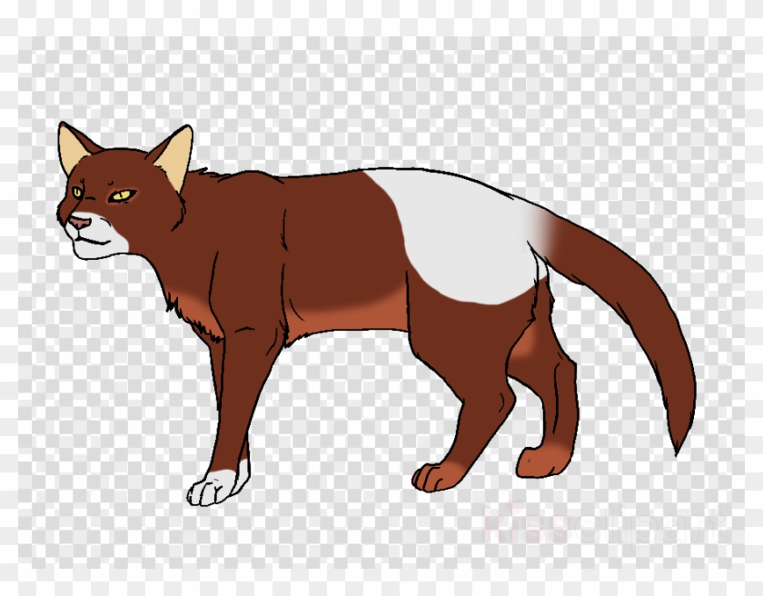 Black Cat With Yellow Eyes Png Clipart Havana Brown - Goggles Png For Picsart Transparent Png