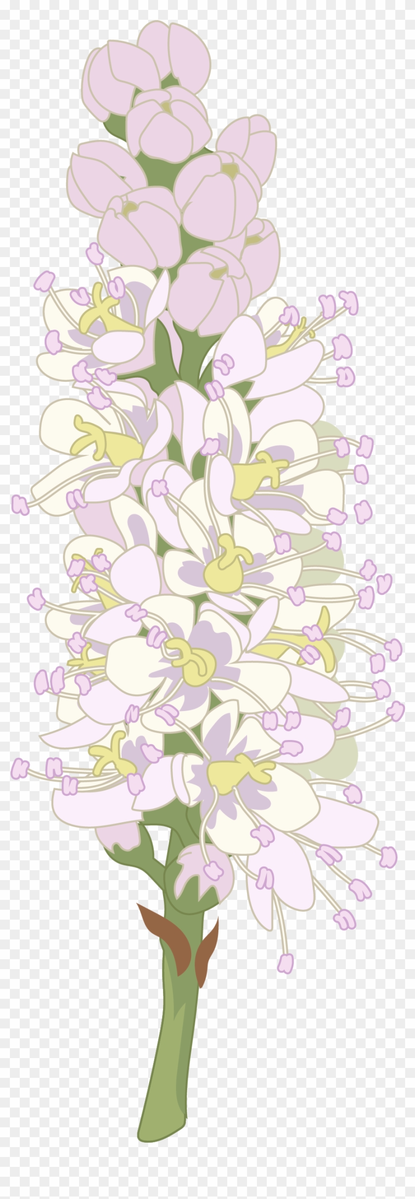 Tarajal - Orchid Clipart