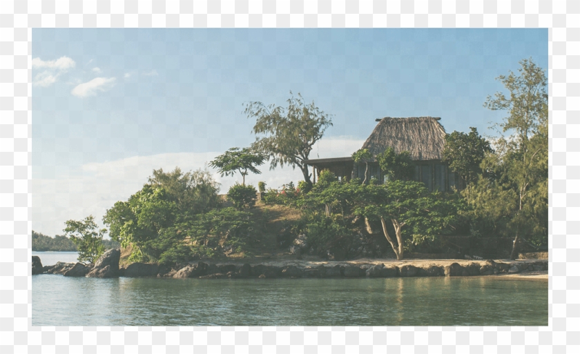 Meet Your Bure Mama Personal Concierge, Fijian Host, - Tree Clipart