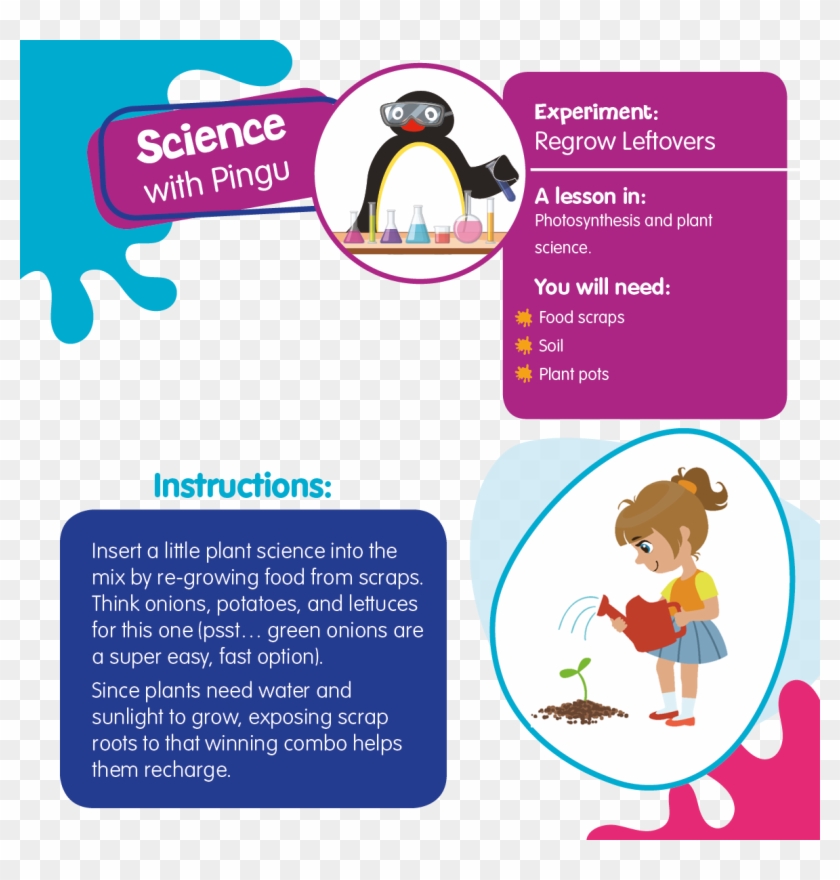 Pingu's English - Cartoon Clipart #2267840