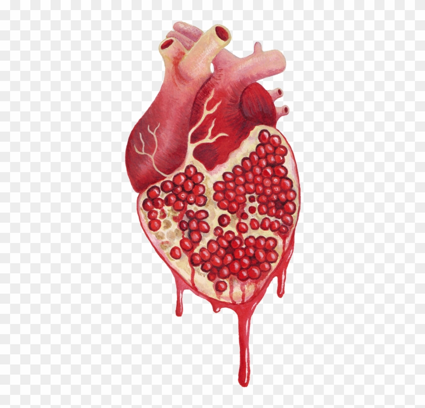 Medical Art, Anatomical Heart, Pomegranate Tattoo, - Pomegranate Heart Clipart #2270842
