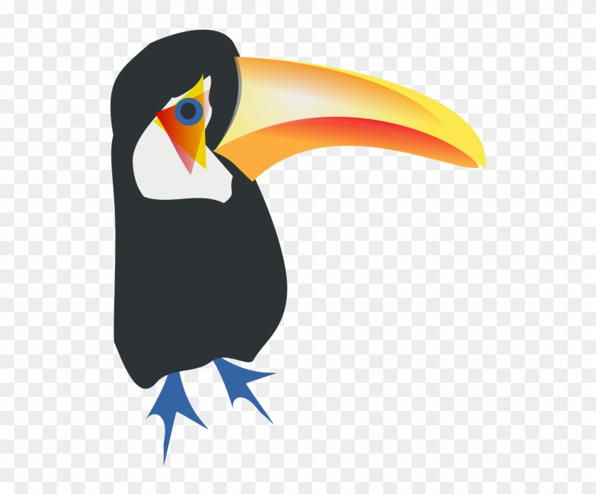 Cartoon Transparent Background Toucan Png Clipart