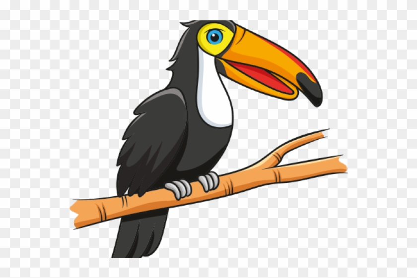 Toucan Clipart Real - Png Download