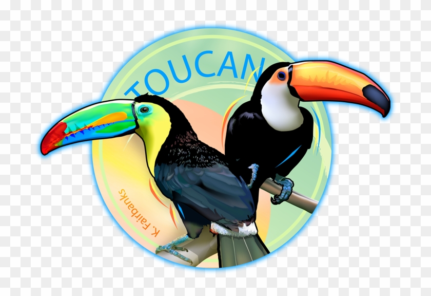 723 X 524 3 - Color Toucan Bird Drawing Clipart