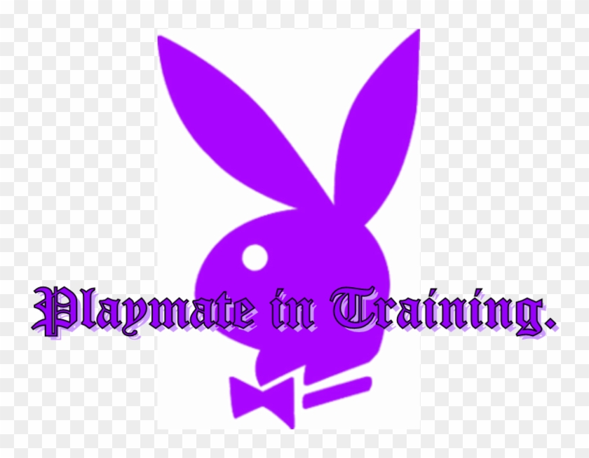 Playboy Playmate Photo - Domestic Rabbit Clipart